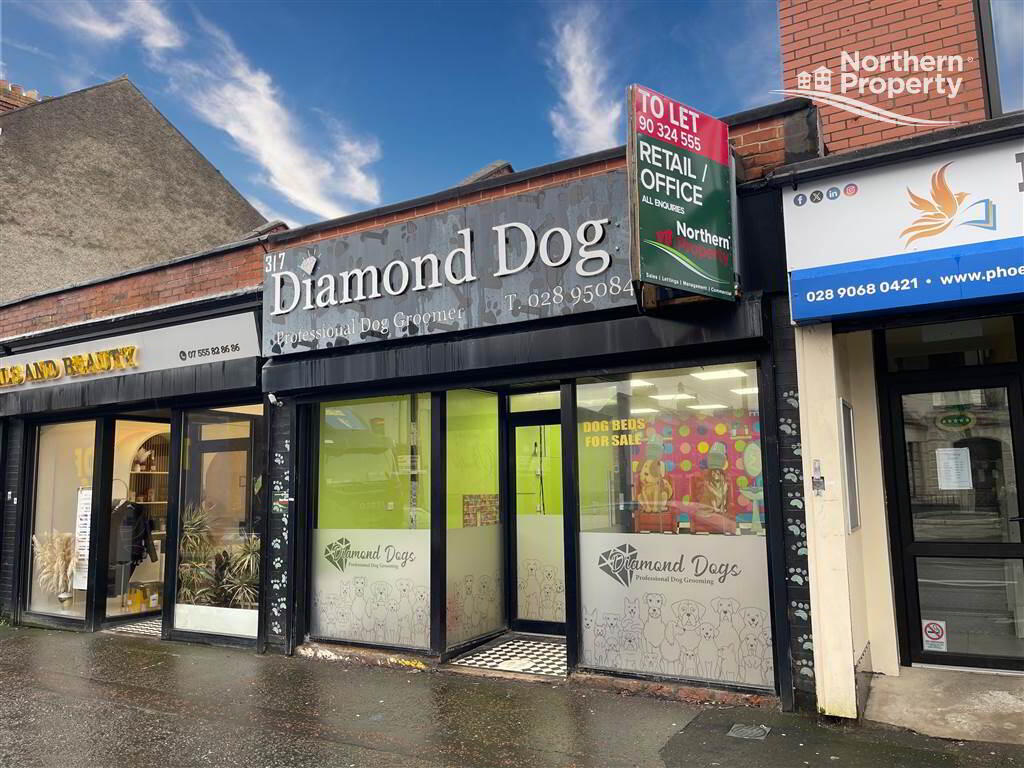 Photo 1 of 317 Woodstock Road, Belfast