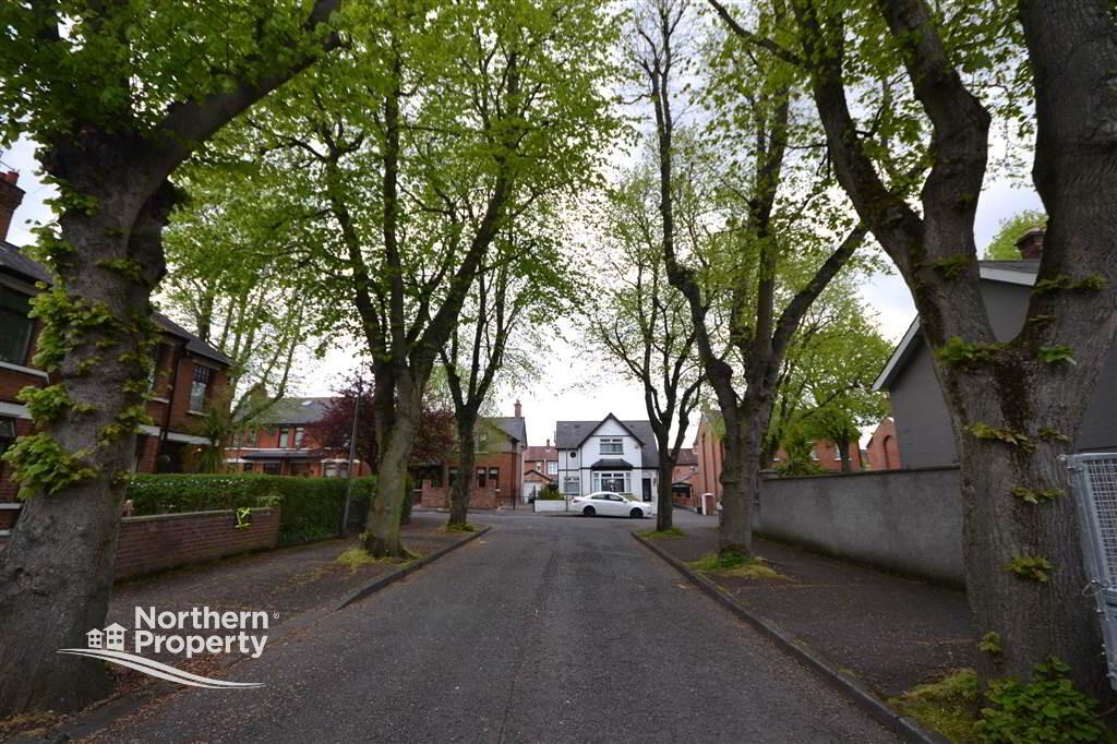 Photo 3 of 6 St James Avenue, Belfast