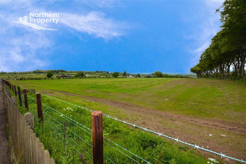 Photo 39 of 24 Tornagrough Road, Hannahstown, Belfast
