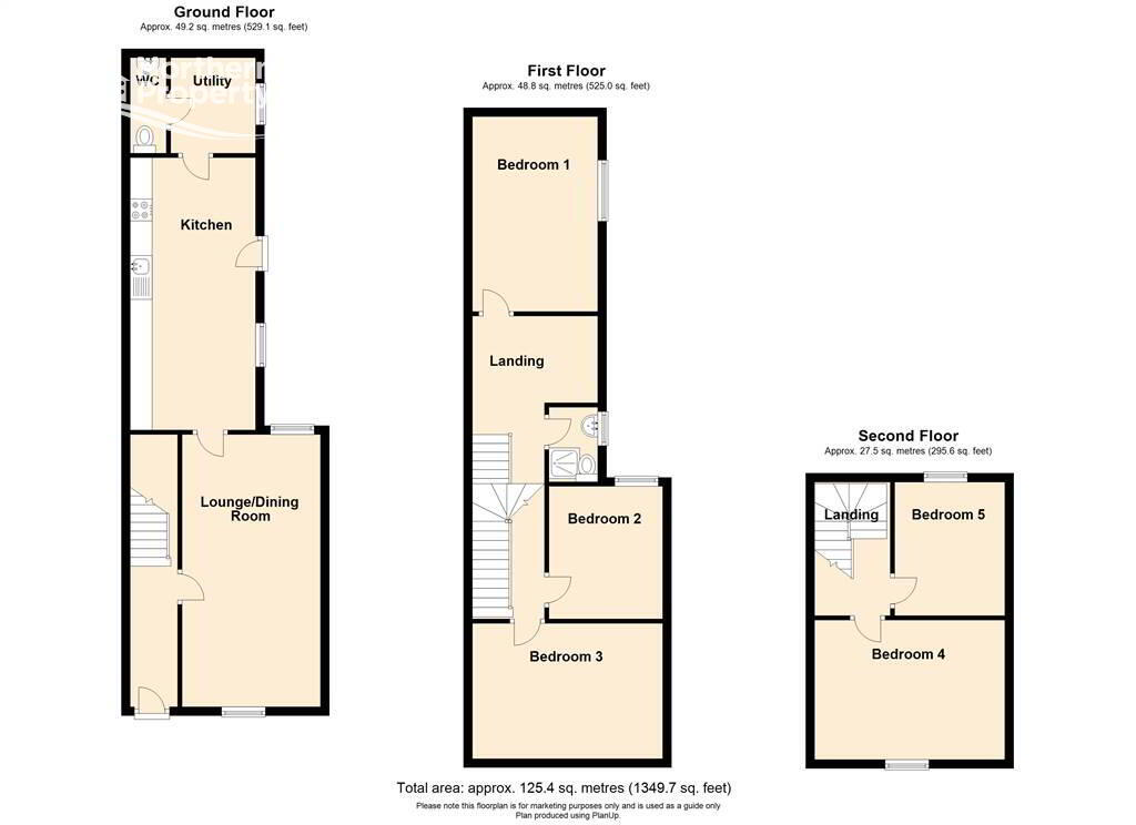 Floorplan 1 of 35 Crocus Street, Belfast