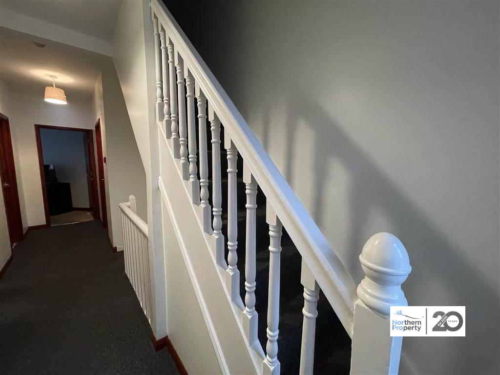 Photo 14 of 20 Harrogate Street, Belfast