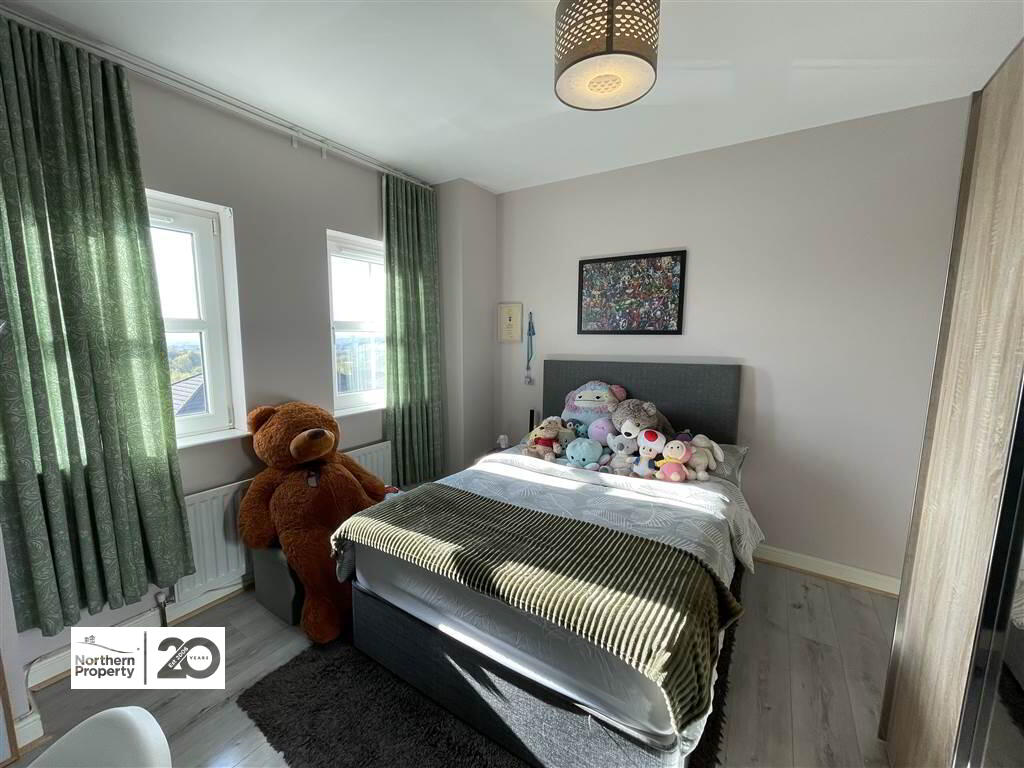 Photo 16 of 32 Mill Valley North, Belfast