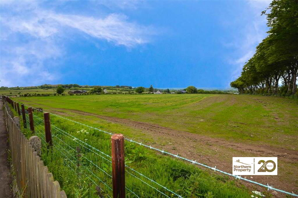 Photo 39 of 24 Tornagrough Road, Hannahstown, Belfast