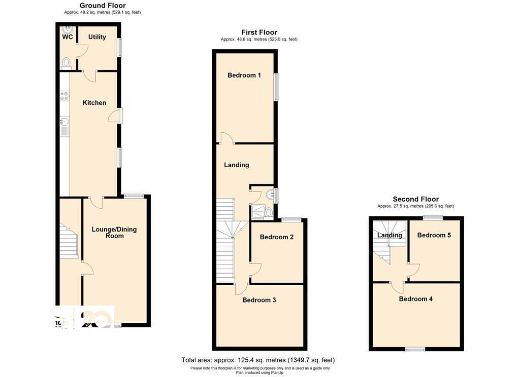 Floorplan 1 of 35 Crocus Street, Belfast