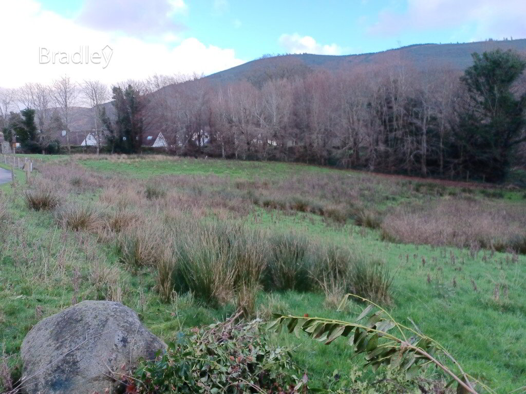 Photo 1 of Lands, At, Forestbrook Road, Rostrevor