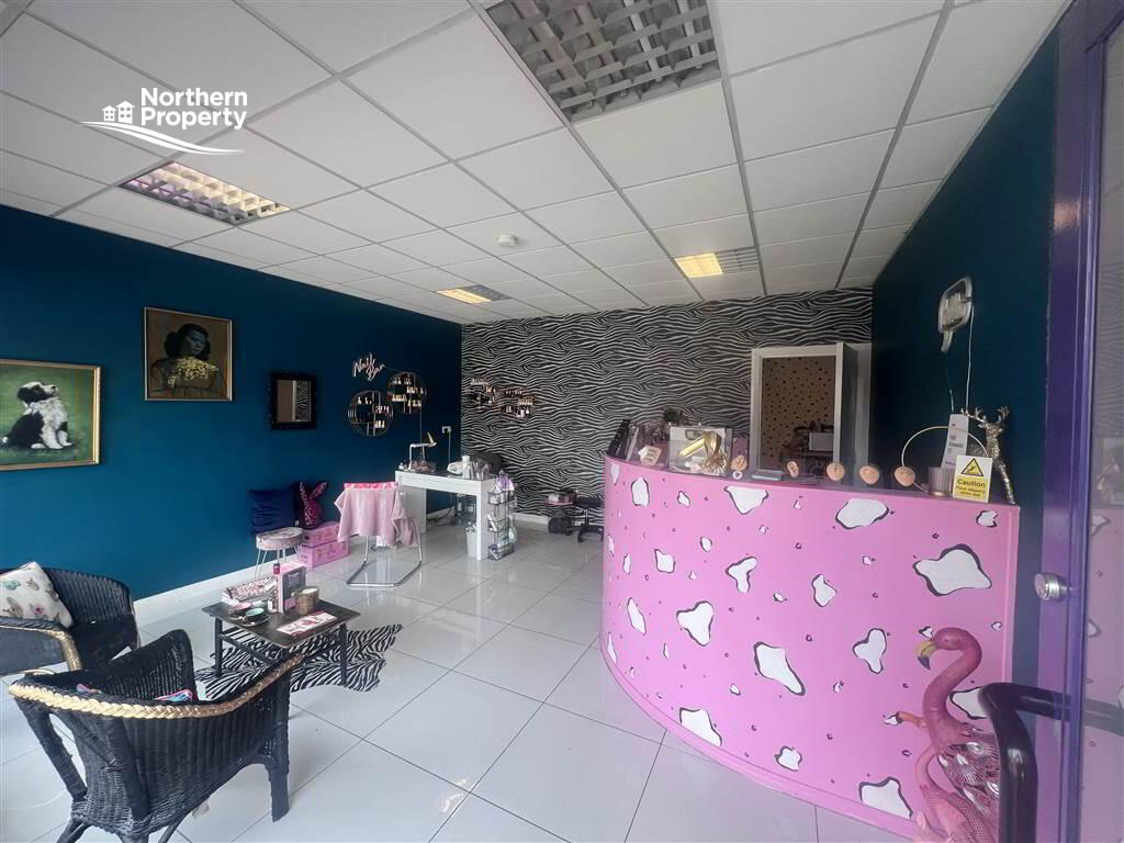 Photo 3 of 217 Woodstock Road, Belfast