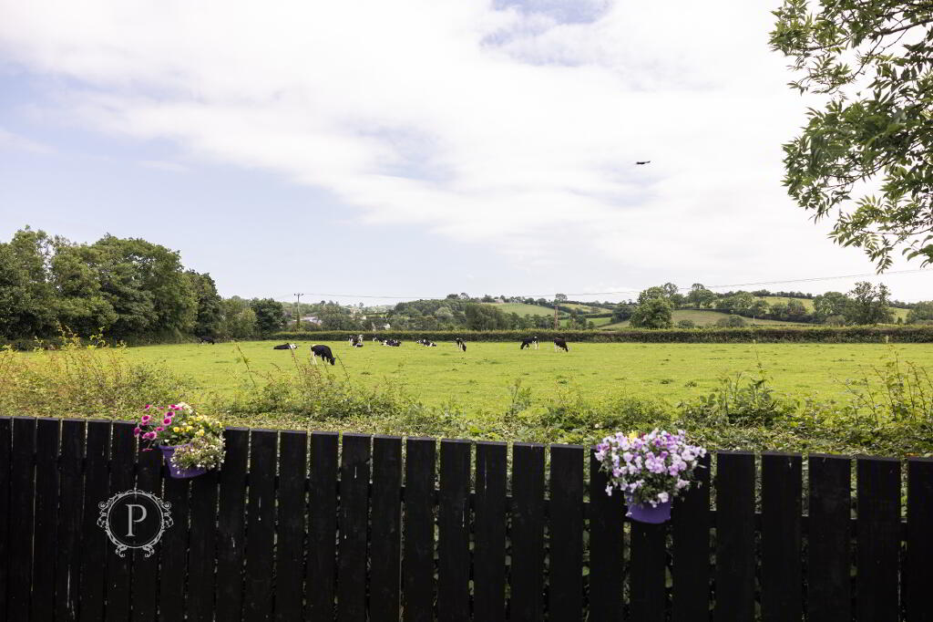 Photo 19 of 39 Oakview, Armagh