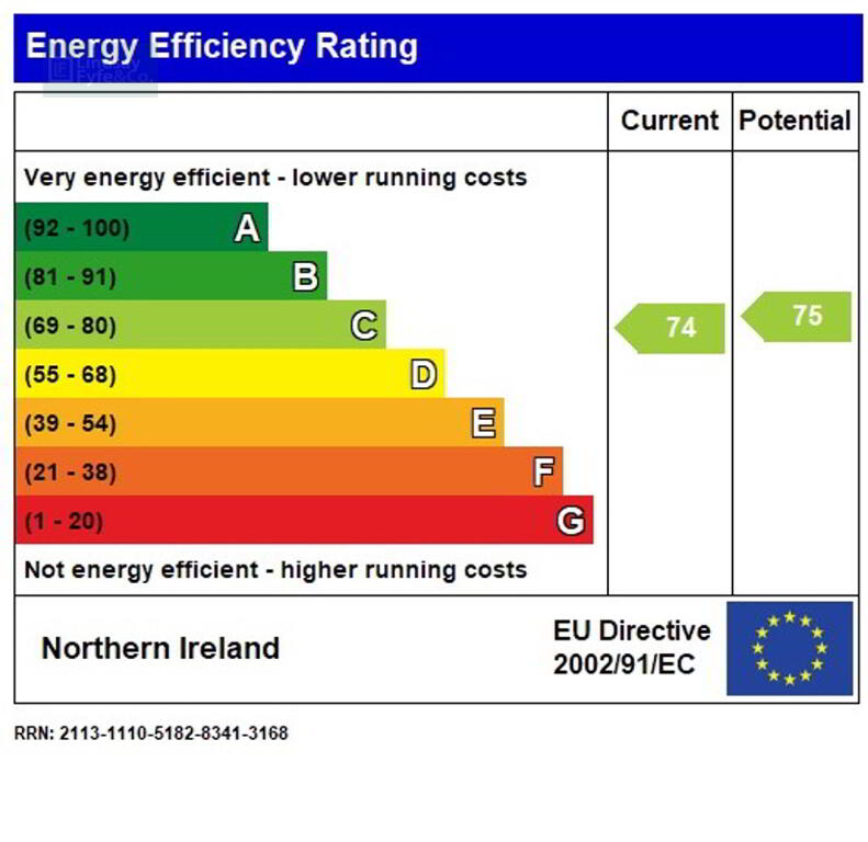 EPC 1 of 19 Castlehill, Comber