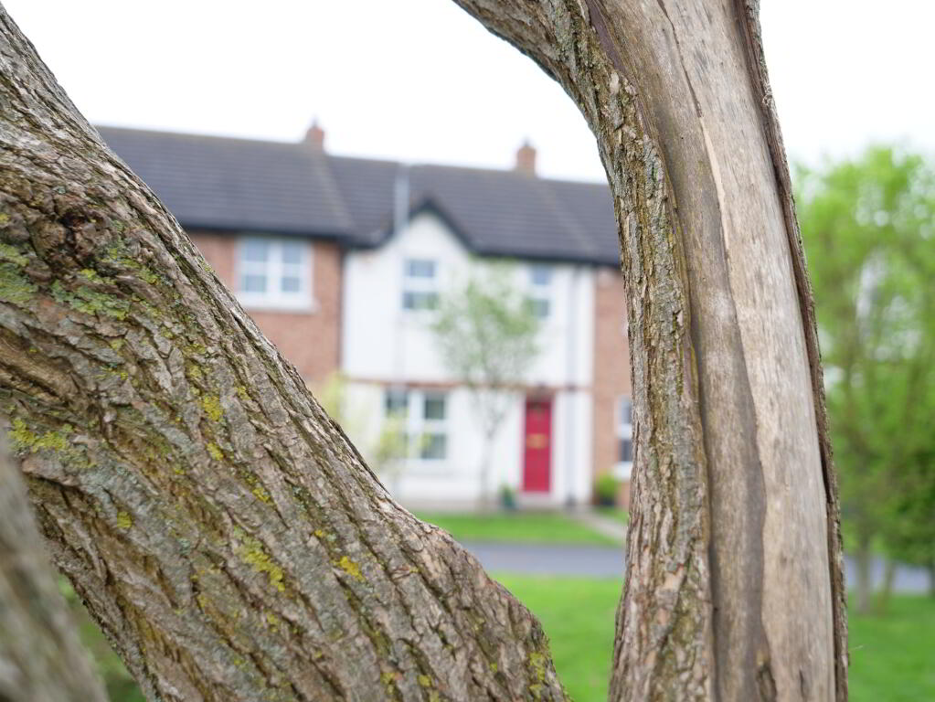 Photo 23 of 39 Baltylum Meadows, Portadown