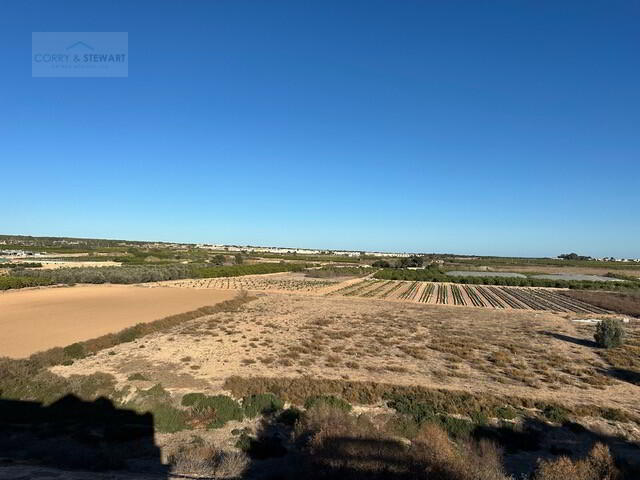 Photo 33 of El Raso, Guardamar Del Segura