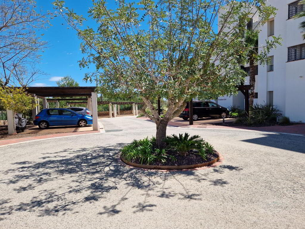 Photo 31 of Las Colinas, Las Colinas Golf