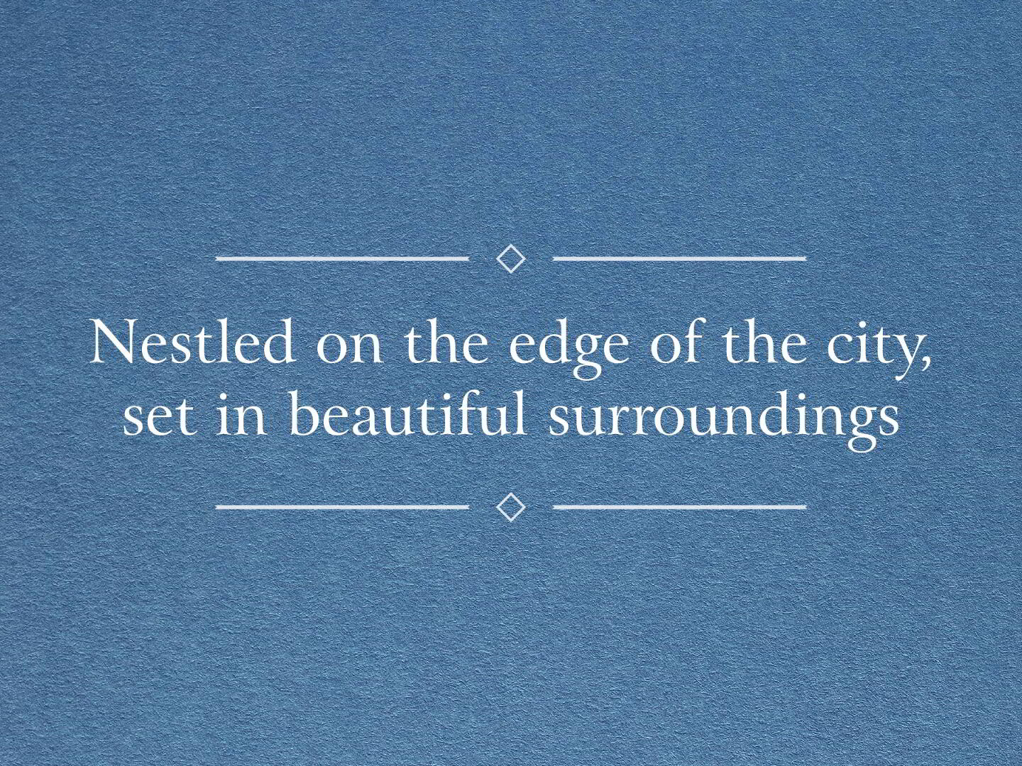 undefined 19 of 21