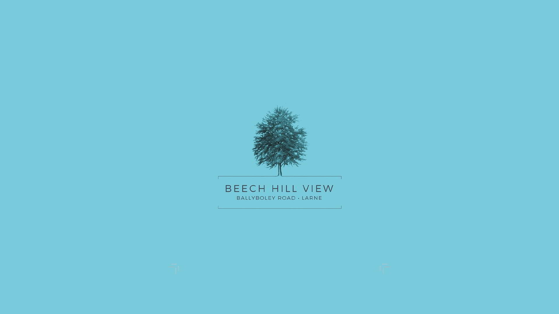 Beech Hill View, Larne