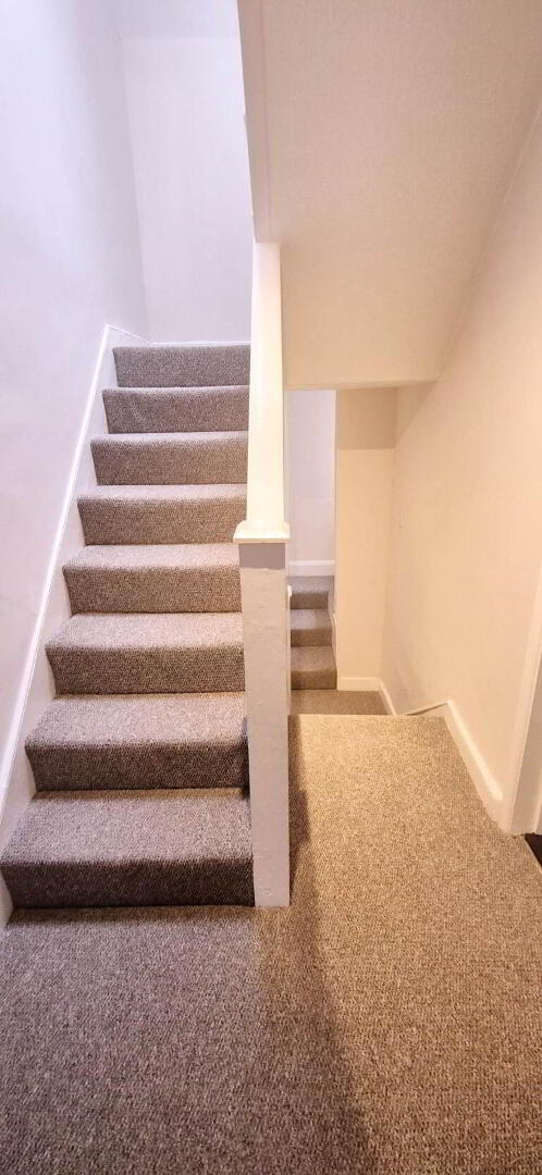 15 Mountjoy Street 24 of 32