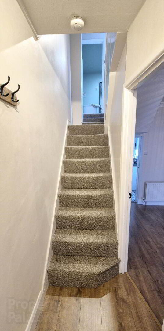 15 Mountjoy Street 15 of 32