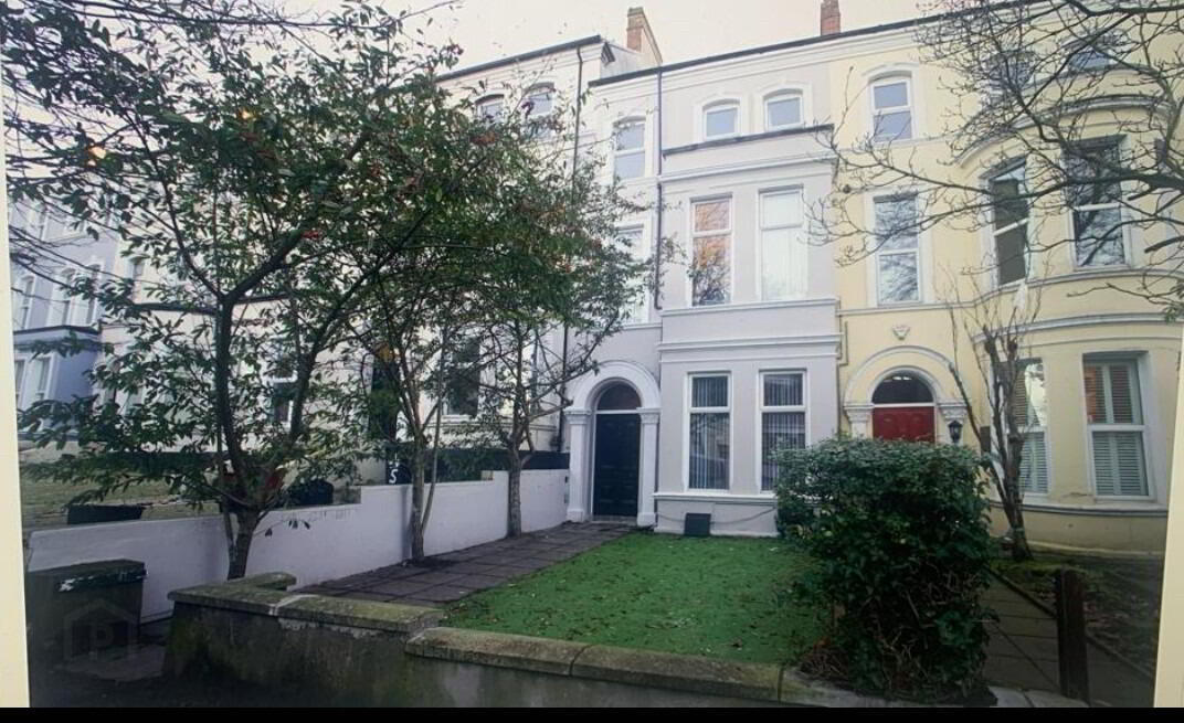 Apt 1, 66 Wellington Park 1 of 16