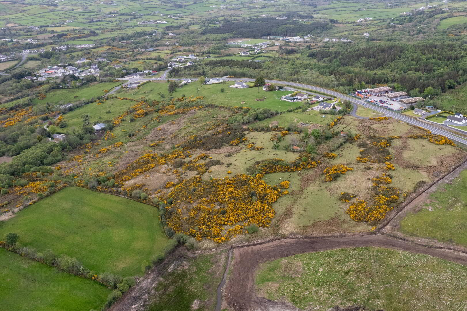 Ballykeeran 19 of 23