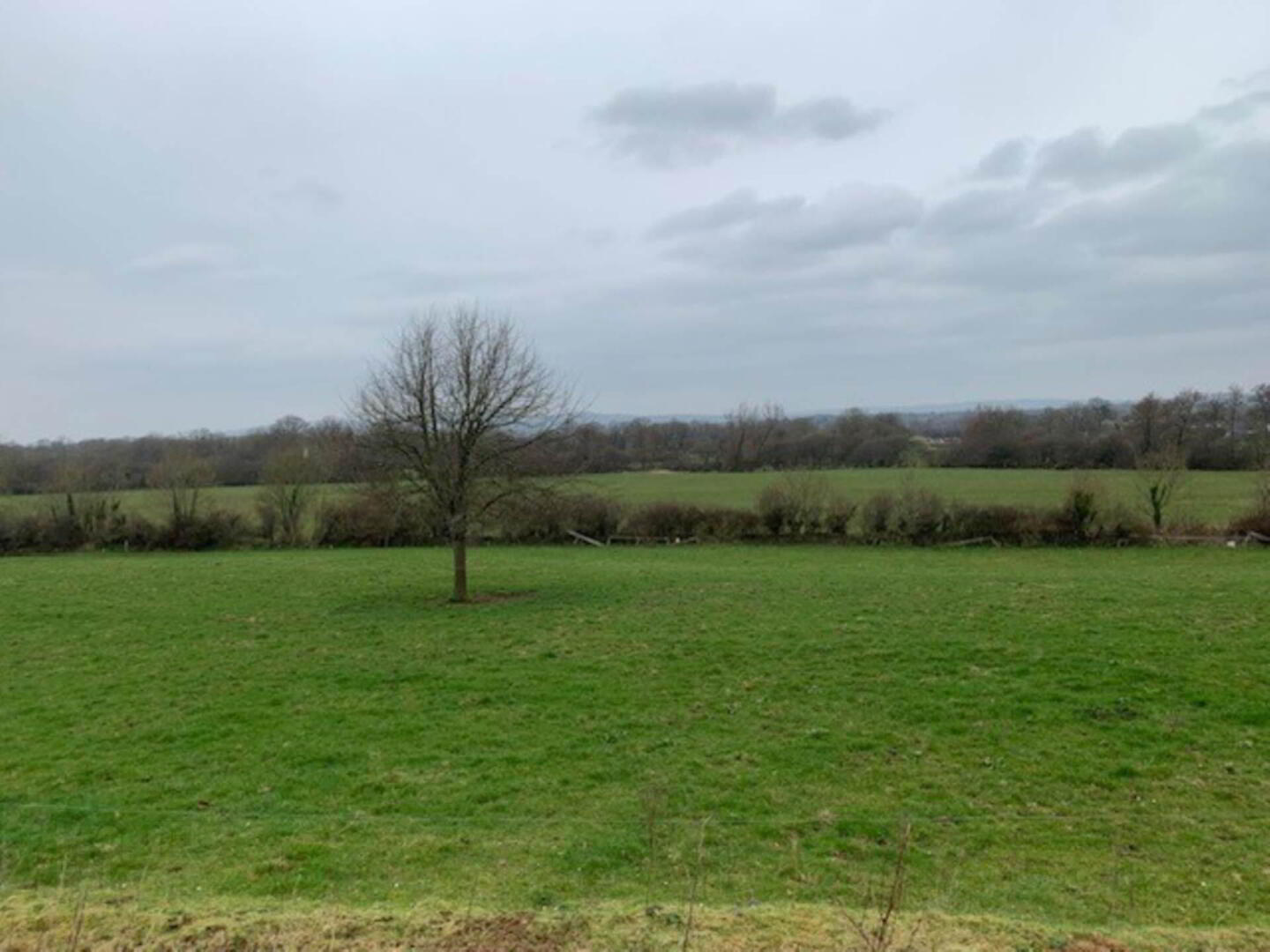 43 Ha (106. 3) Acre Dairy Farm