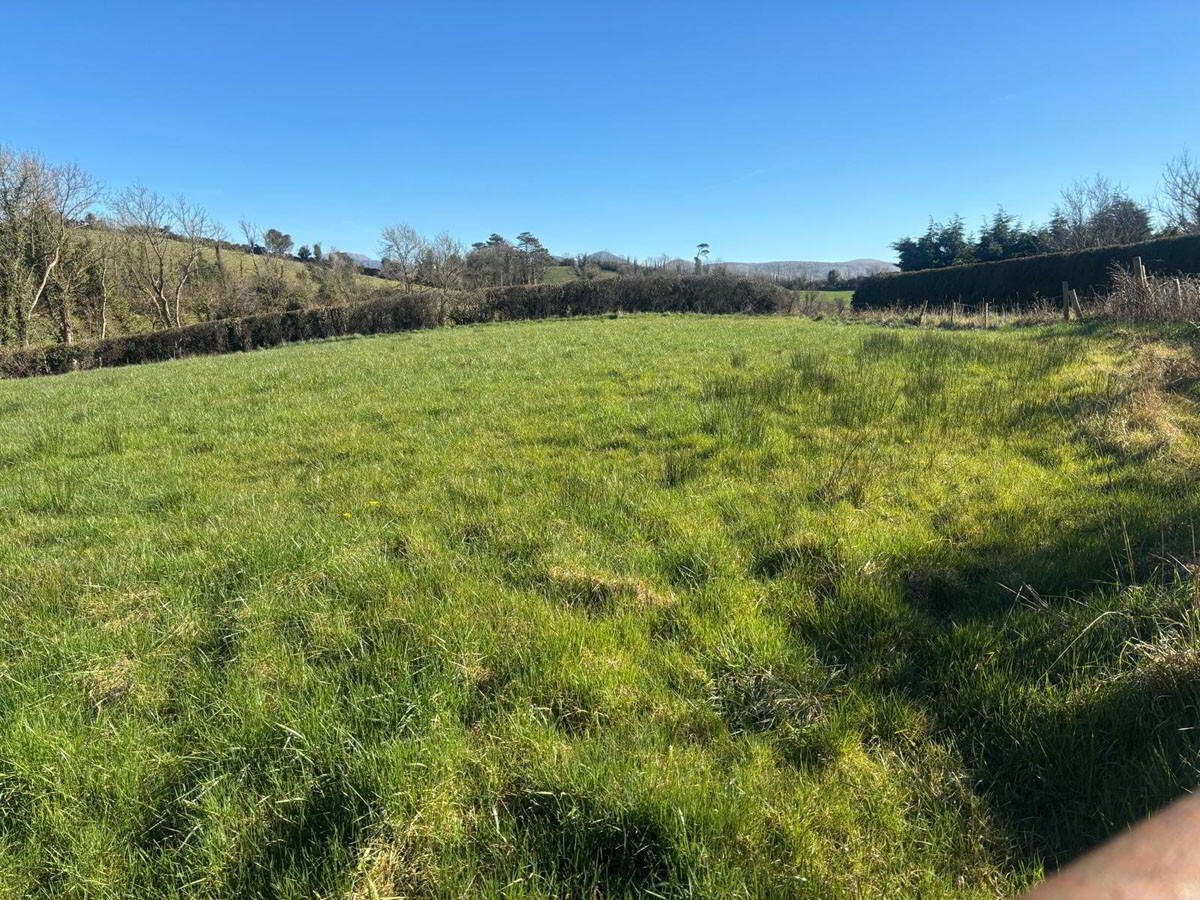 3 Acres Of Agricultural Land, Crabtree Road 1 of 7