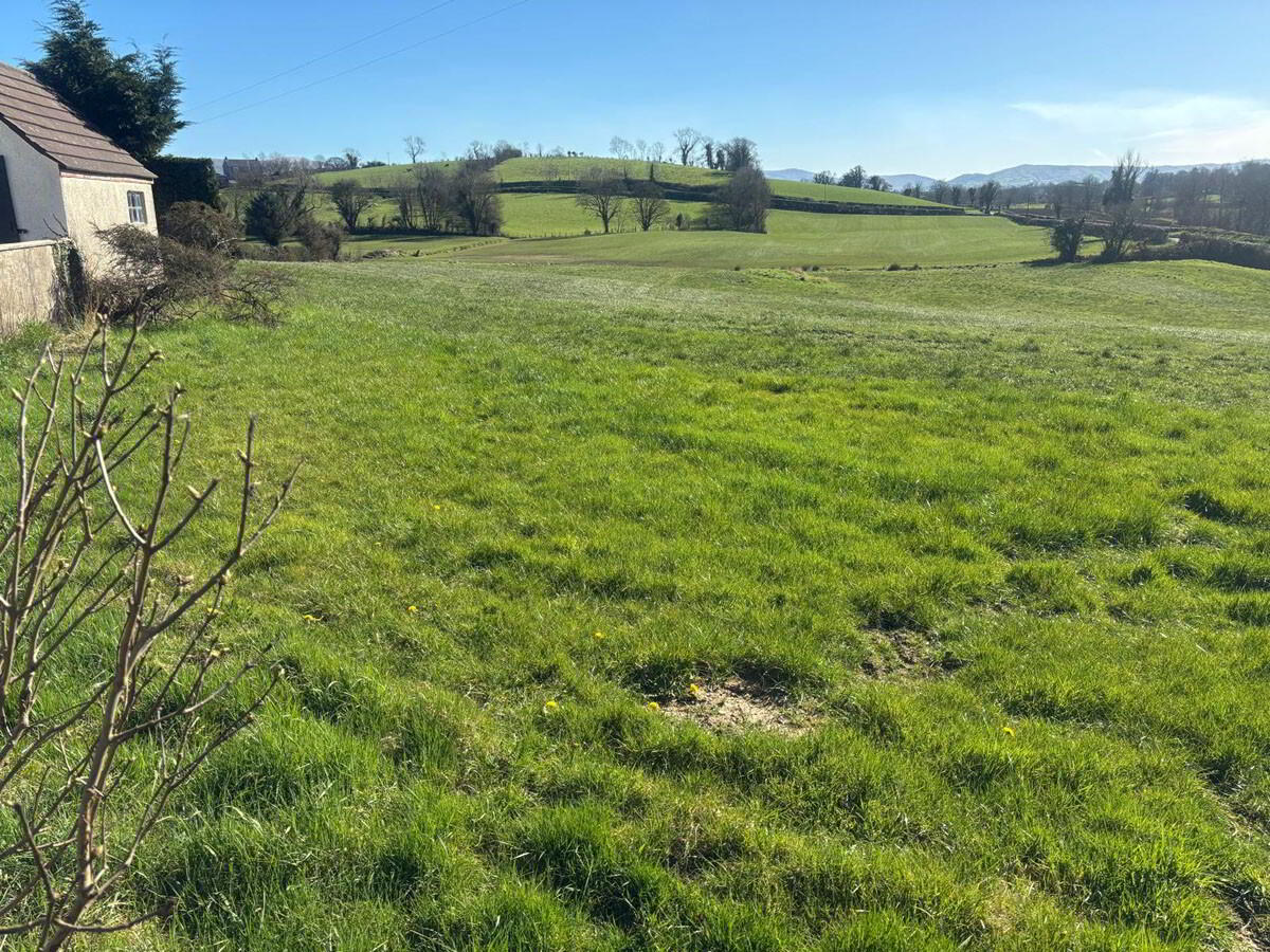 3 Acres Of Agricultural Land, Crabtree Road 3 of 7
