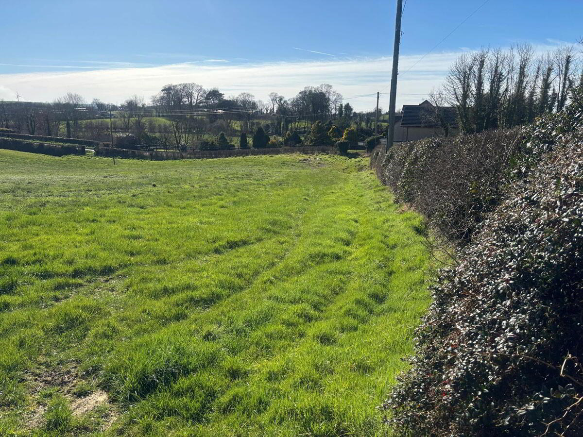 3 Acres Of Agricultural Land, Crabtree Road 4 of 7