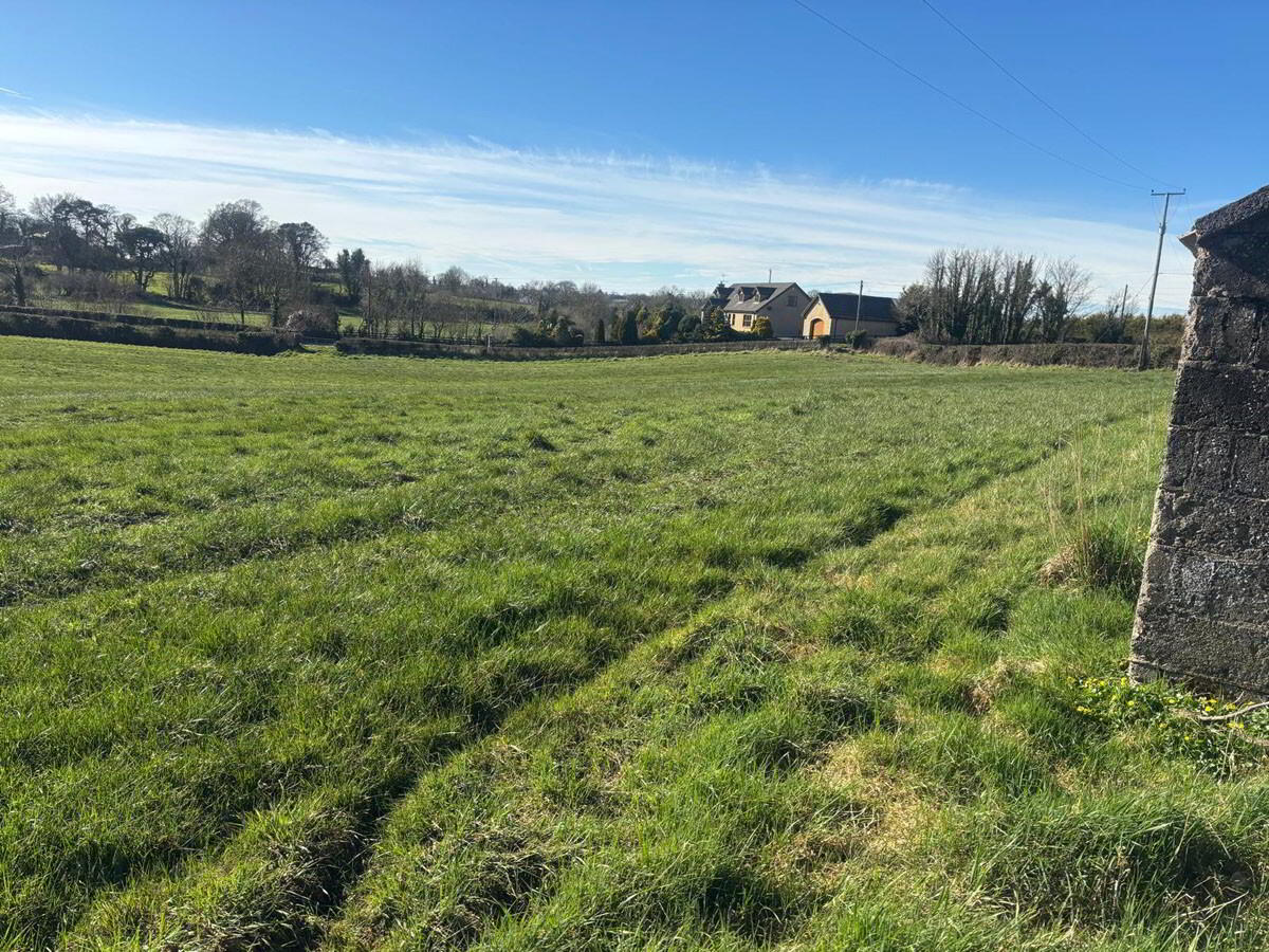 3 Acres Of Agricultural Land, Crabtree Road 5 of 7