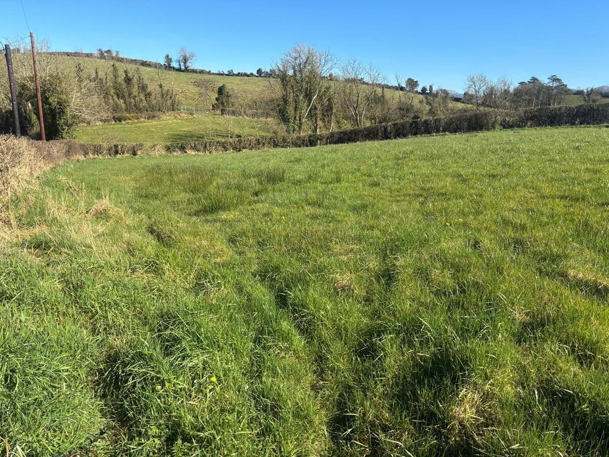 3 Acres Of Agricultural Land, Crabtree Road 6 of 7