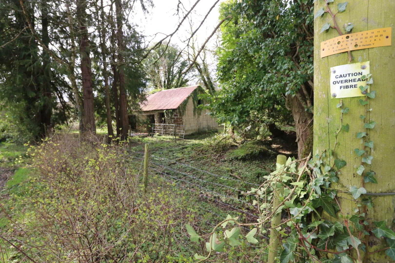 House & Land 25 of 29