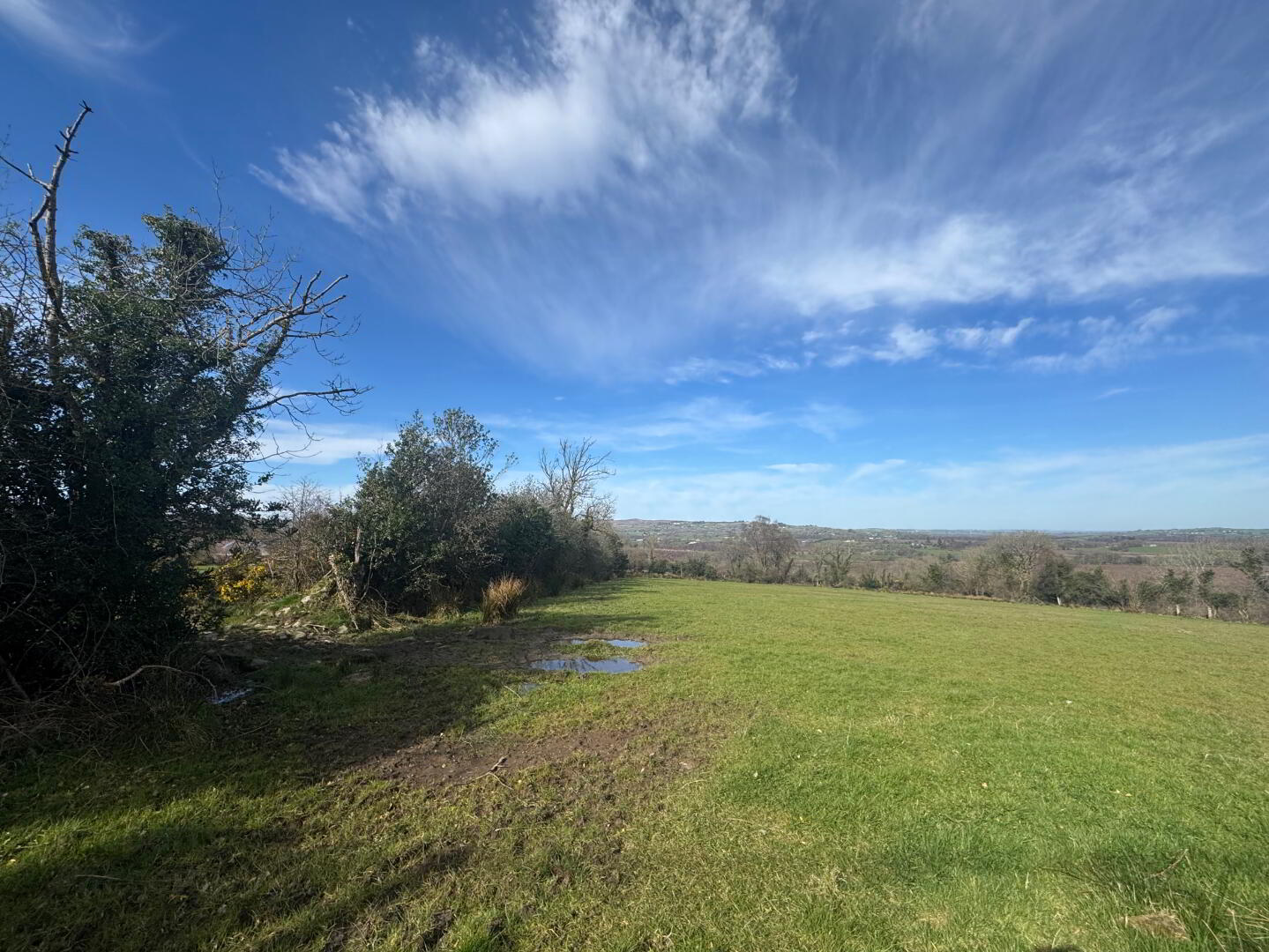 property description image