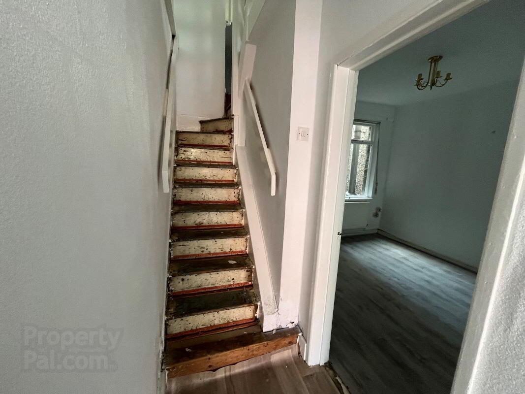 204 Spamount Street 4 of 17