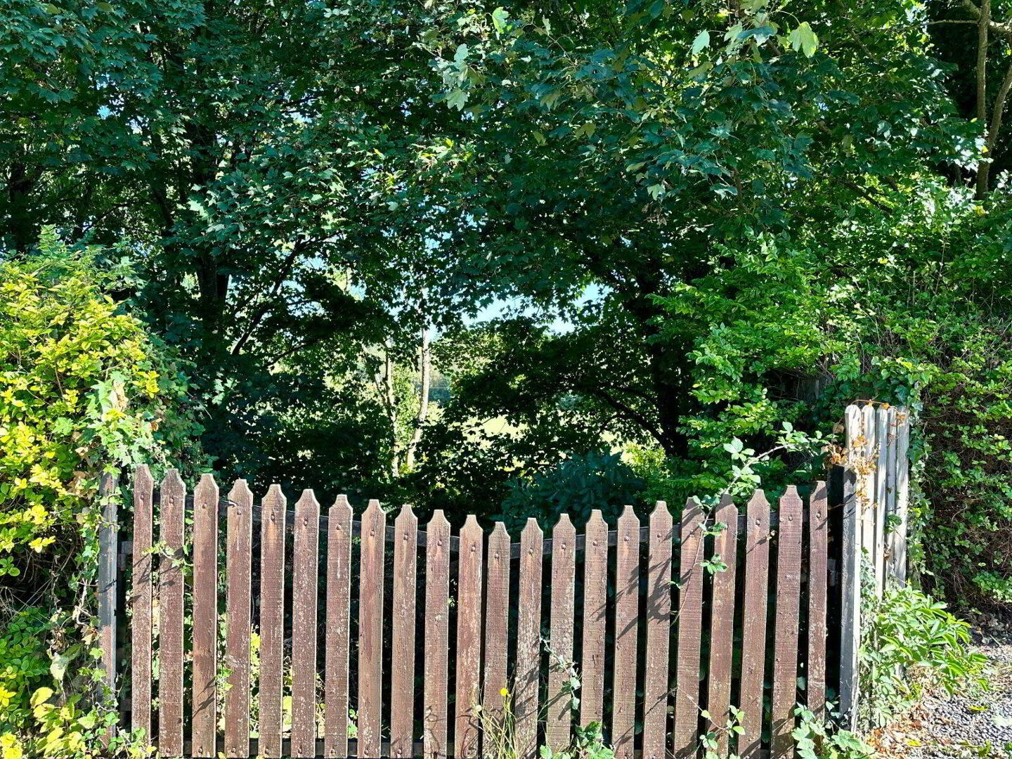 Rossinan 35 of 43