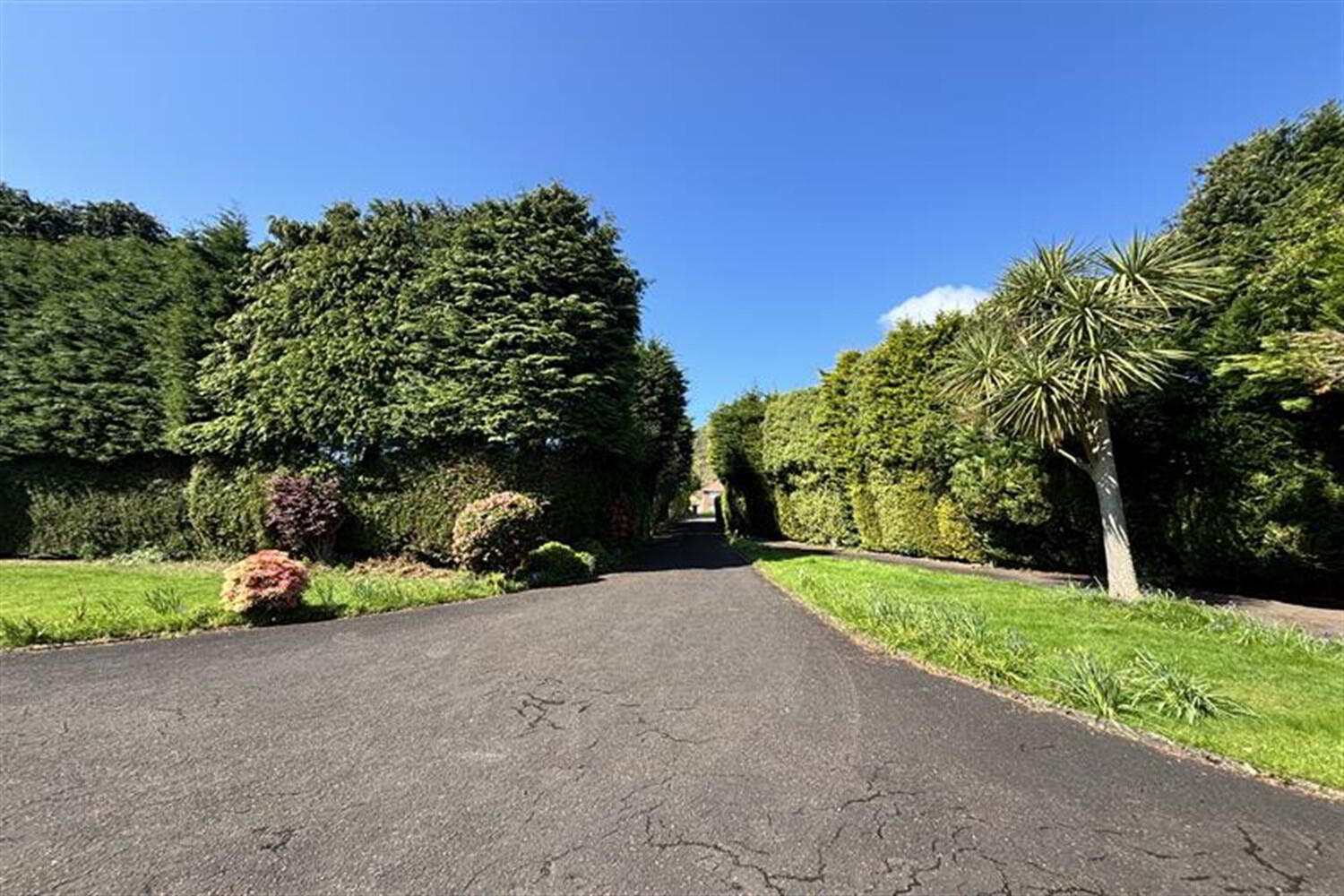 737 Antrim Road 24 of 34