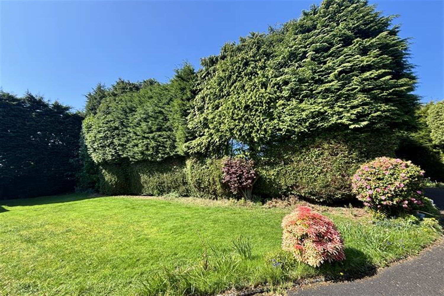 737 Antrim Road 32 of 34
