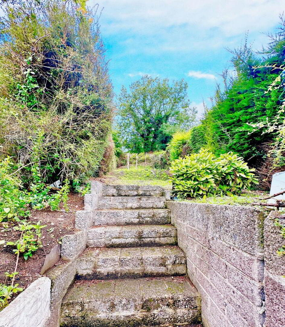 Cara Street 12 of 15