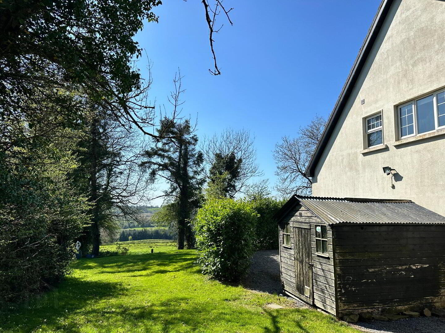 Courleigh 50 of 54