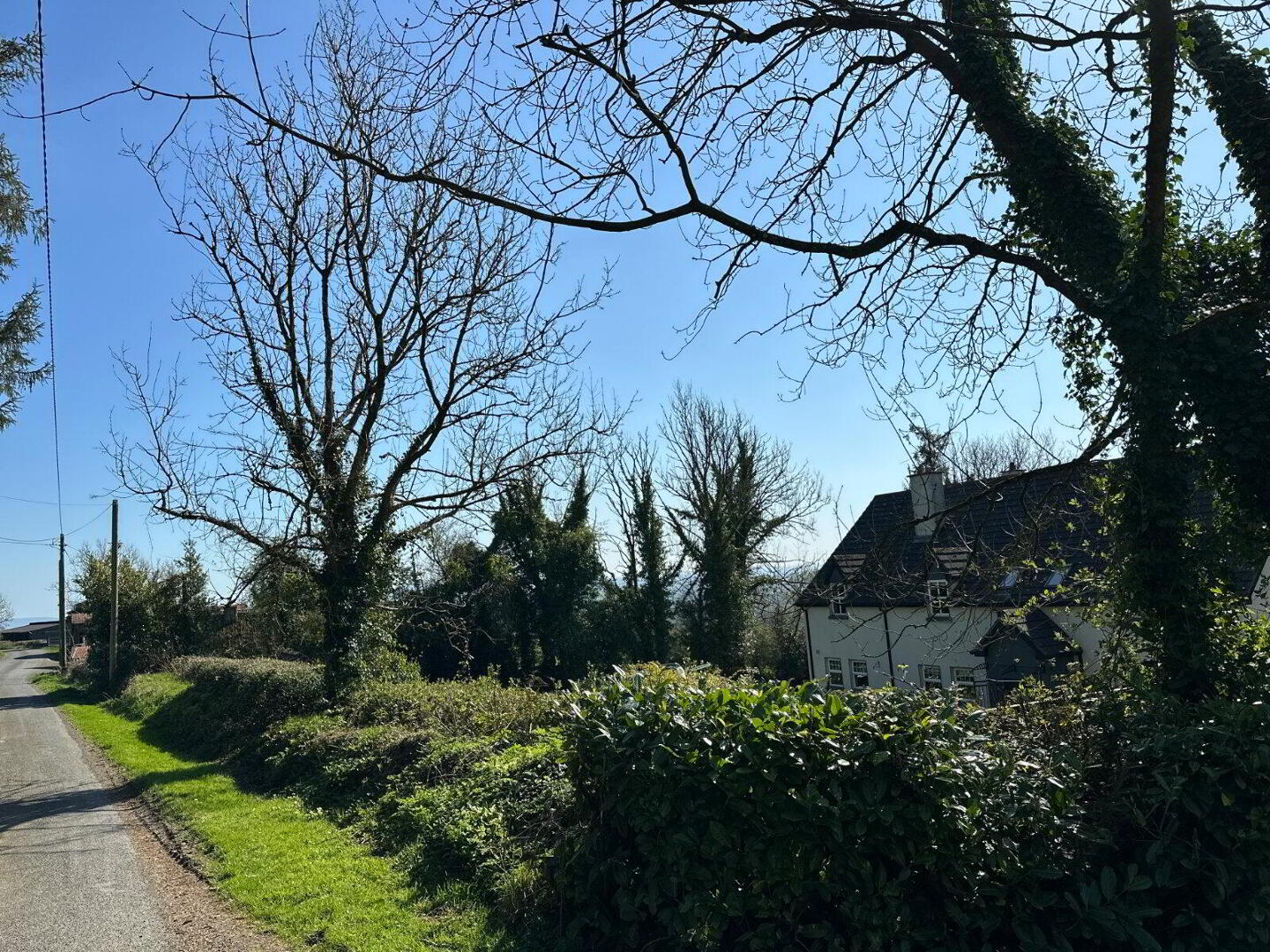 Courleigh 53 of 54