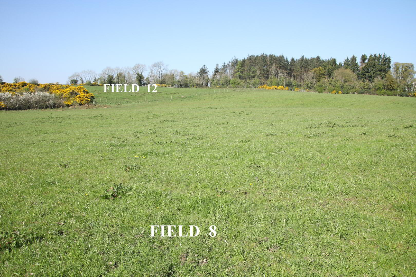 property description image