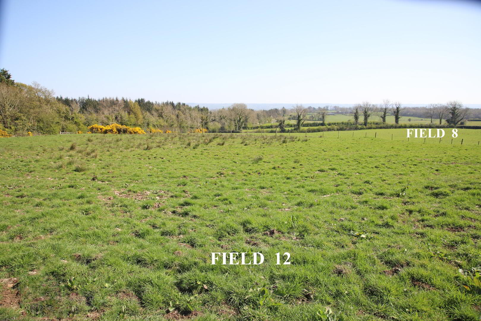 Adj 65 BLACKROCK ROAD 3 of 4