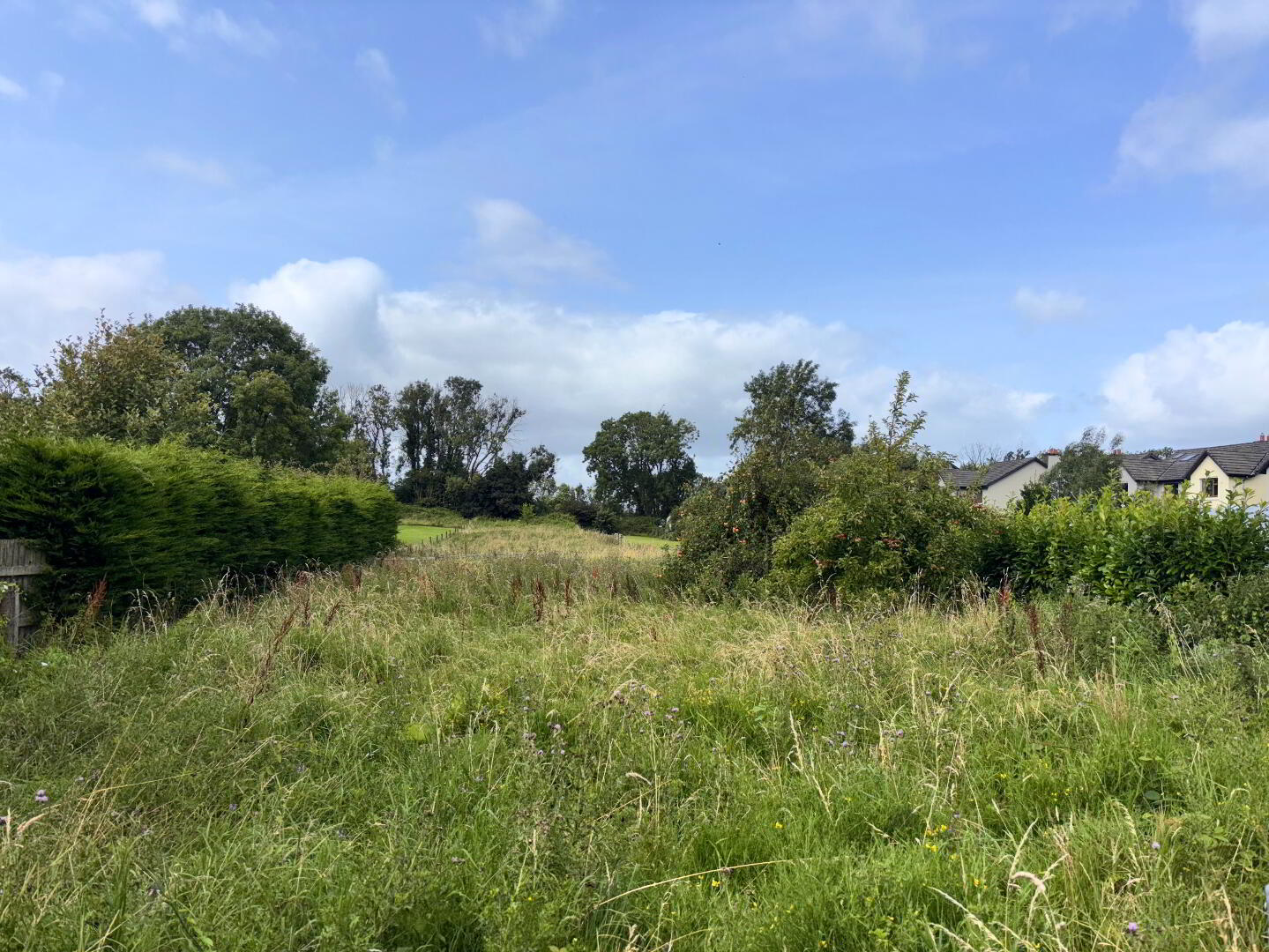 2 Ballycar Road 9 of 10