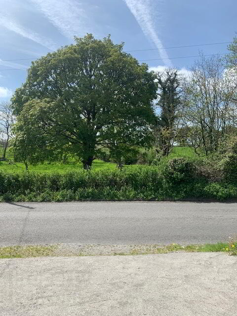 Corbally 11 of 11