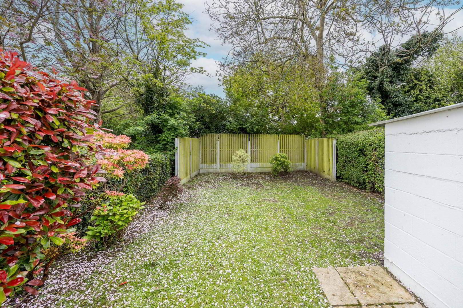 68 Shanard Road 12 of 21