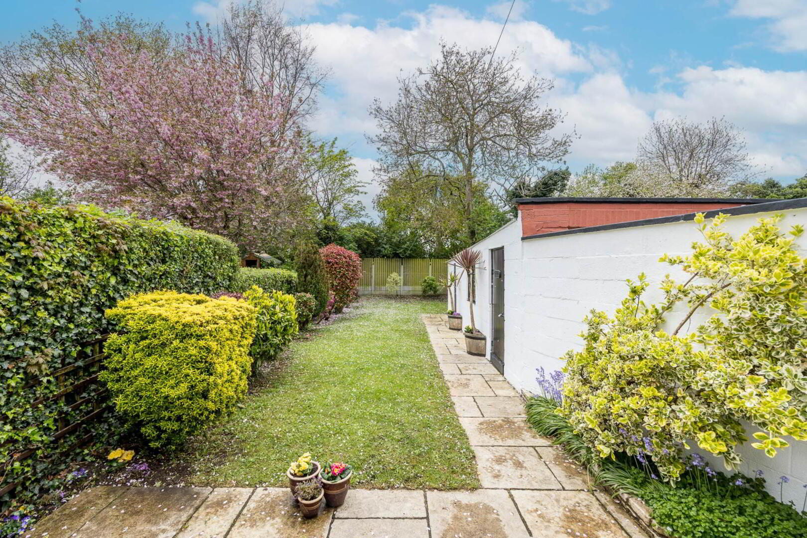 68 Shanard Road 9 of 21