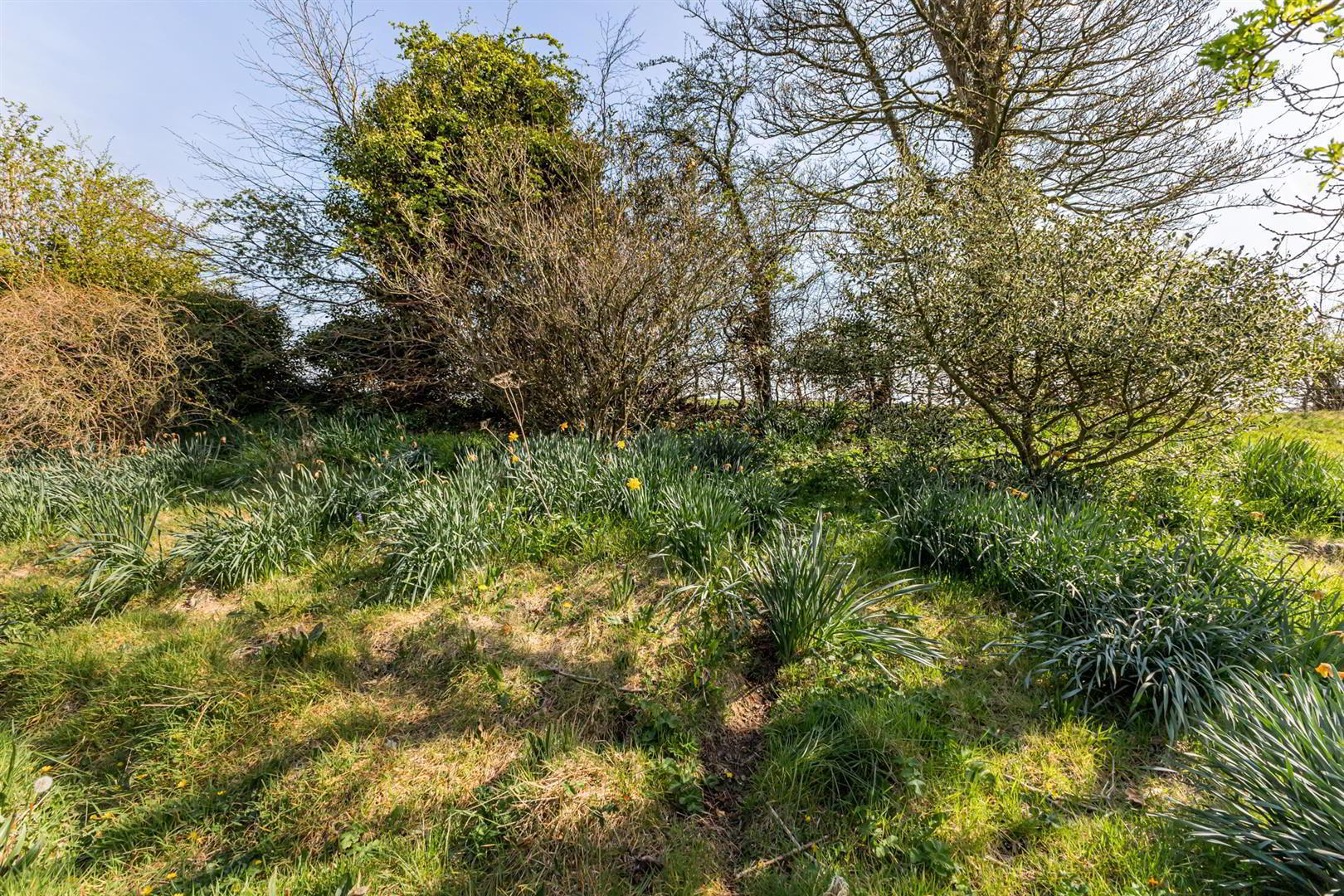 95 Ballyvester Road 21 of 24