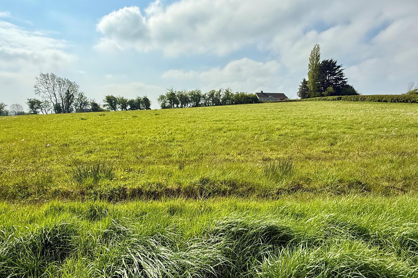 3 Acres, Beside, 12 Cushenny Road 3 of 5