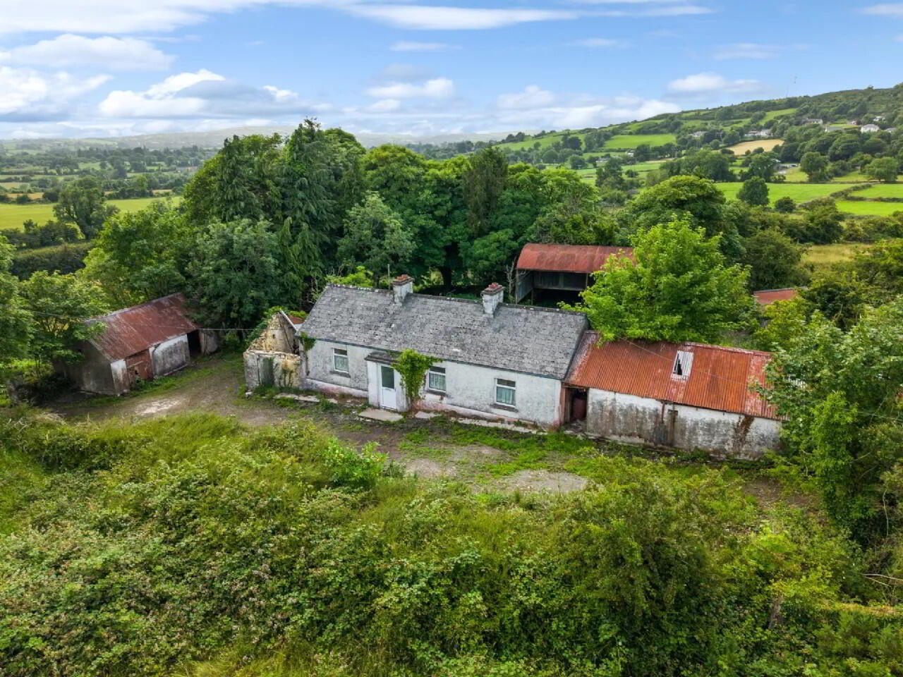 C. 31.6 Acre Residential Farm 7 of 17