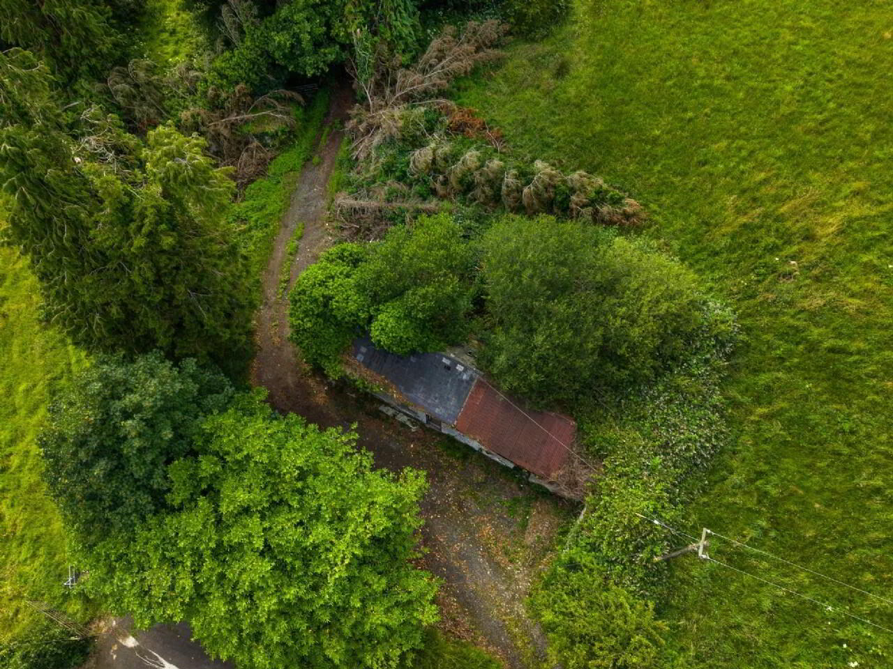 C. 31.6 Acre Residential Farm 16 of 17