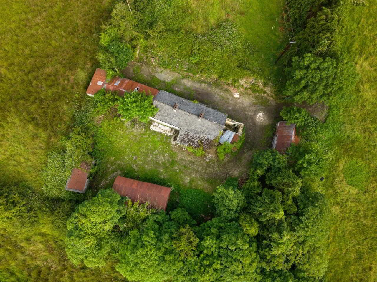 C. 31.6 Acre Residential Farm 12 of 17