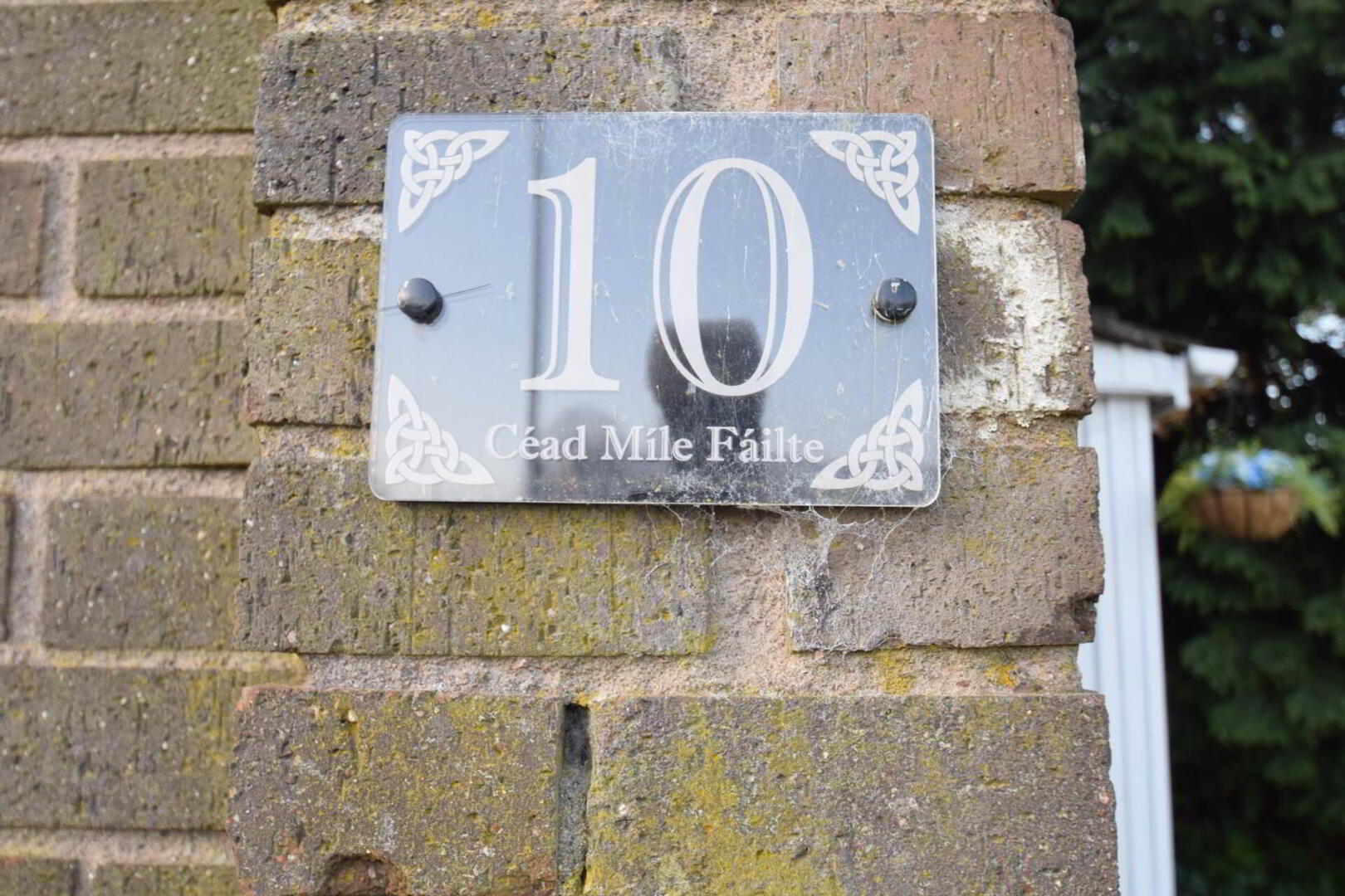 10 Summerhill Gardens 2 of 25