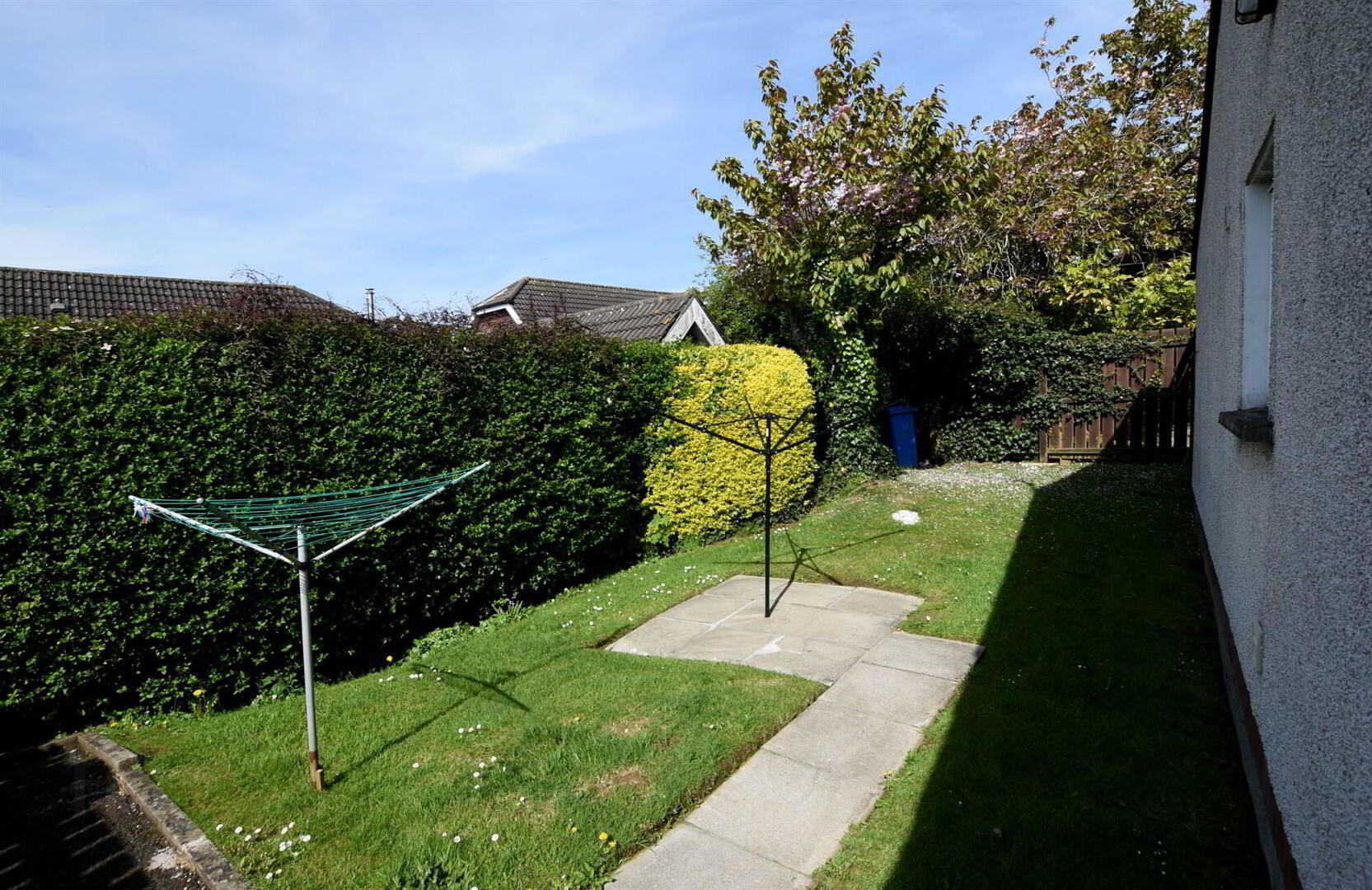 24 Old Movilla Road 11 of 15