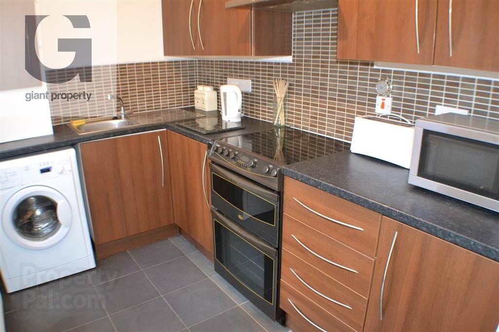 23 Oakley Street 5 of 8
